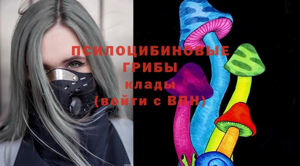 бошки Верея