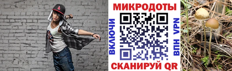 Псилоцибиновые грибы Psilocybine cubensis Будённовск
